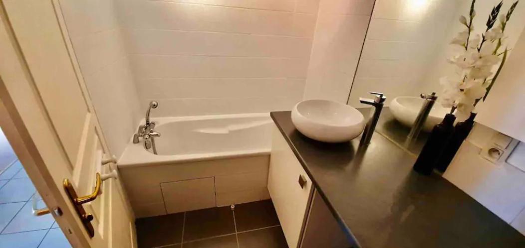 Tichnich Appartement - 2 Bedrooms - 1 Min Away From Train Station Annemasse Luaran gambar