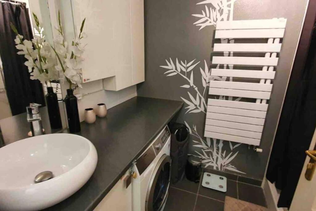 Tichnich Appartement - 2 Bedrooms - 1 Min Away From Train Station Annemasse Luaran gambar